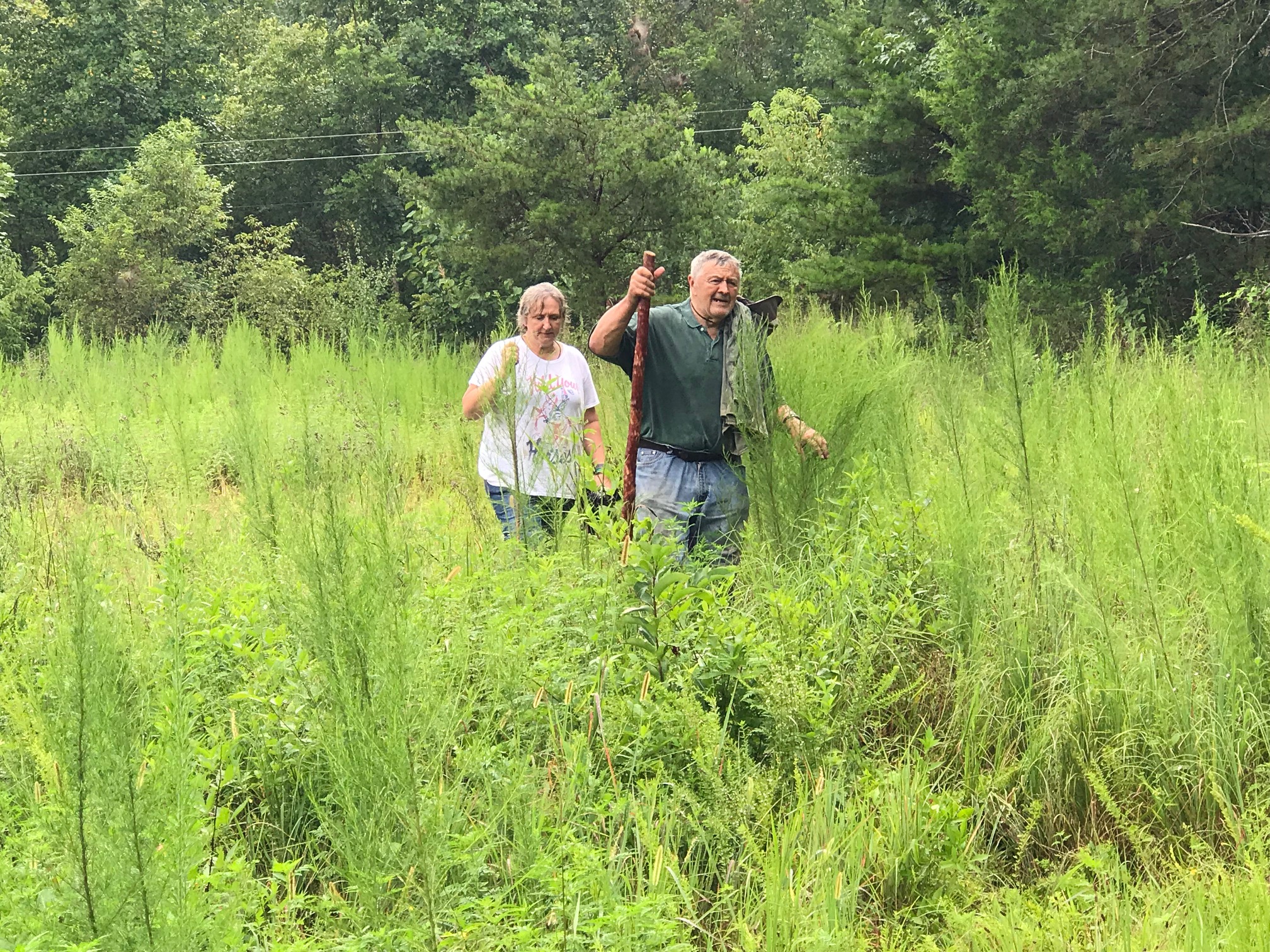 Two people walking through the tall grass of Brick House Farm, 1518 Table Rock Road, Pickens County, South Carolina
